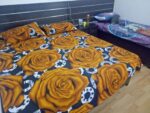 Six Eight Smart Home for Girls in Pul Pehladpur New Delhi