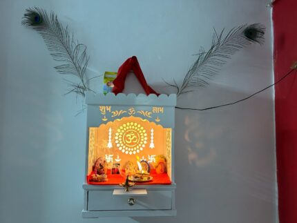 The Vinayaka Pg in South Extension 1, Delhi