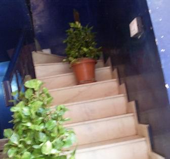 Wanderer BnB AC Unisex PG in C.R. Park New Delhi